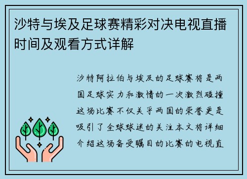 沙特与埃及足球赛精彩对决电视直播时间及观看方式详解