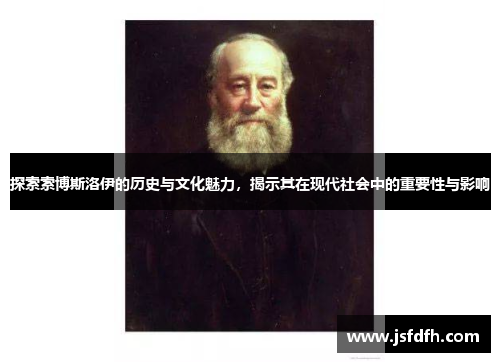 探索索博斯洛伊的历史与文化魅力，揭示其在现代社会中的重要性与影响